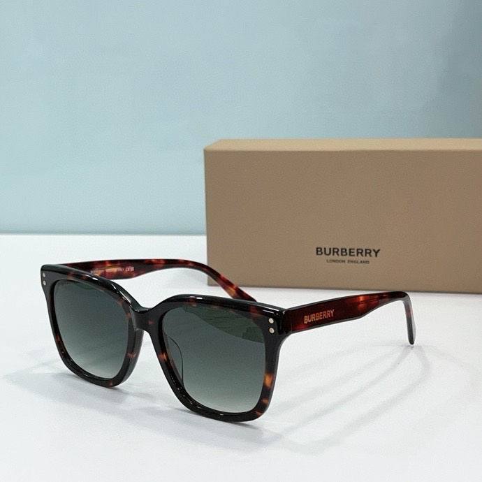 BU Sunglasses AAA-112