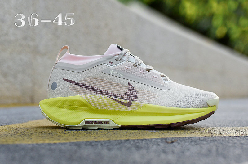 Pegasus 5 Shoes-31
