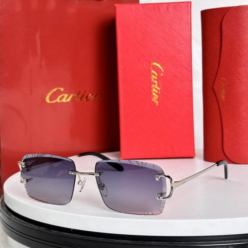 CTR Sunglasses AAA-628