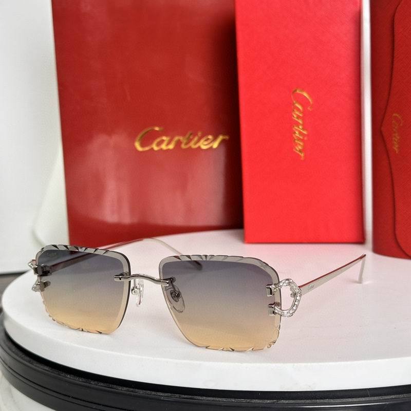 CTR Sunglasses AAA-624