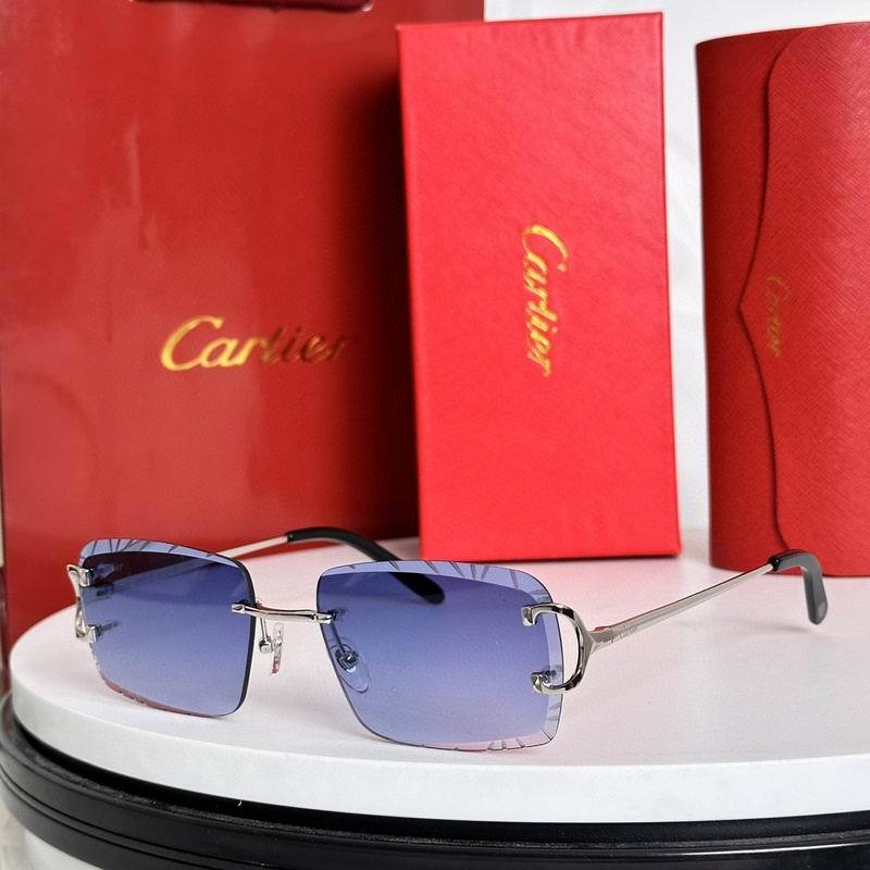 CTR Sunglasses AAA-629