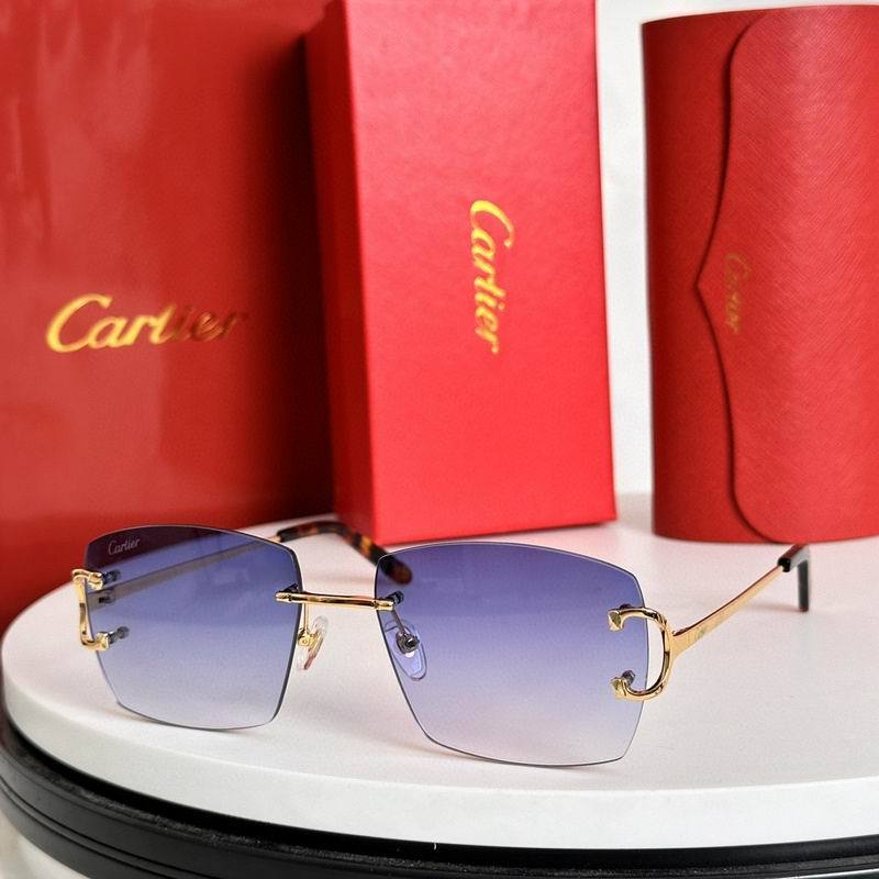 CTR Sunglasses AAA-630