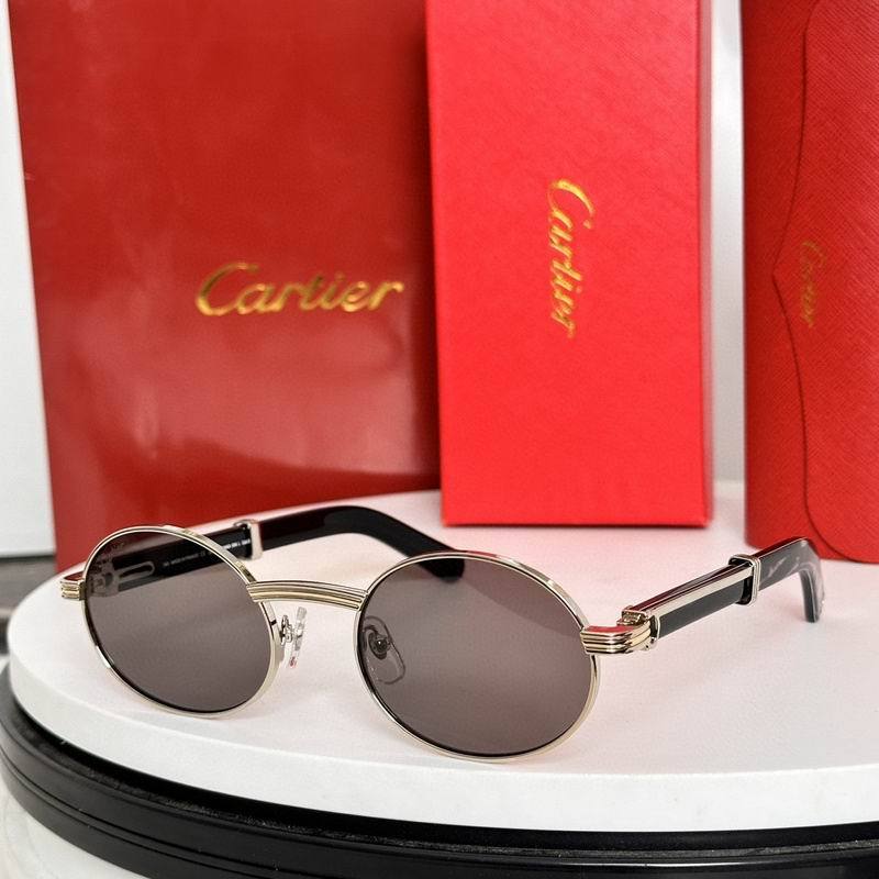 CTR Sunglasses AAA-626