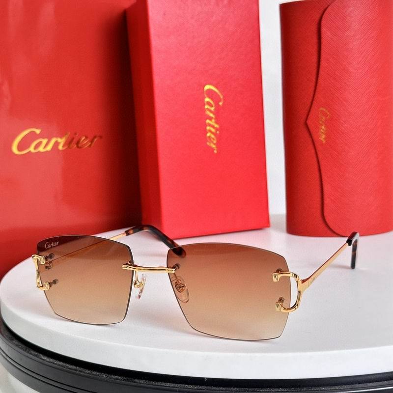 CTR Sunglasses AAA-630