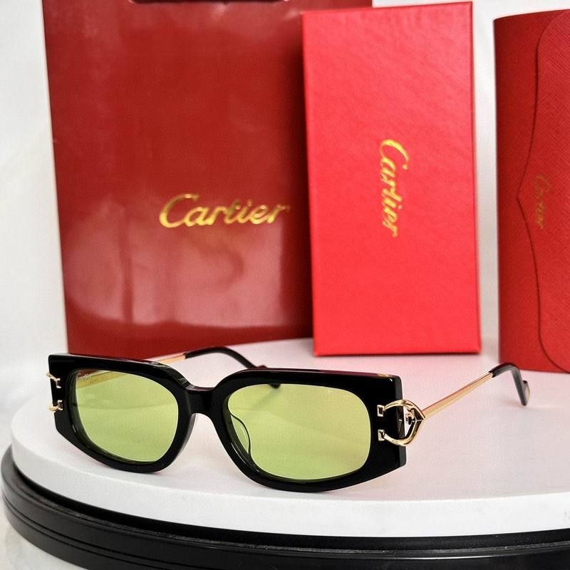 CTR Sunglasses AAA-634