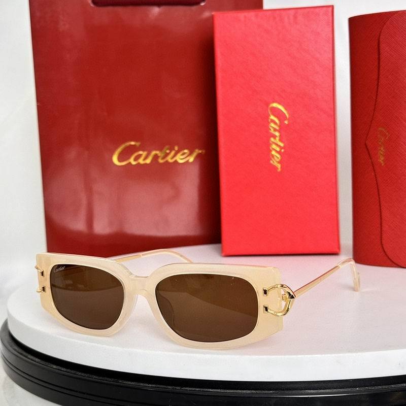 CTR Sunglasses AAA-634