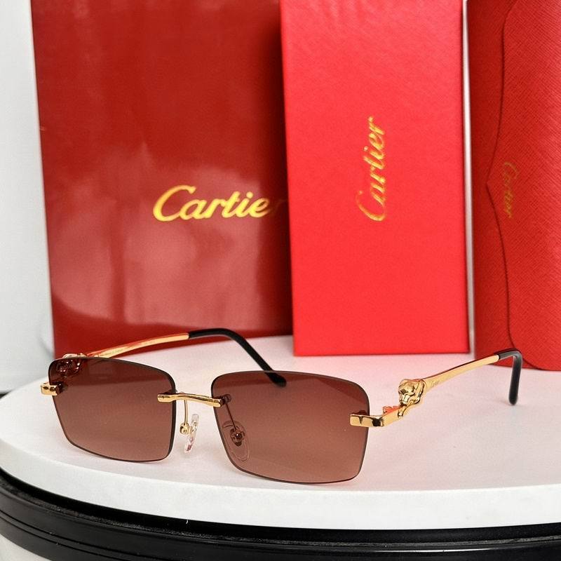 CTR Sunglasses AAA-631