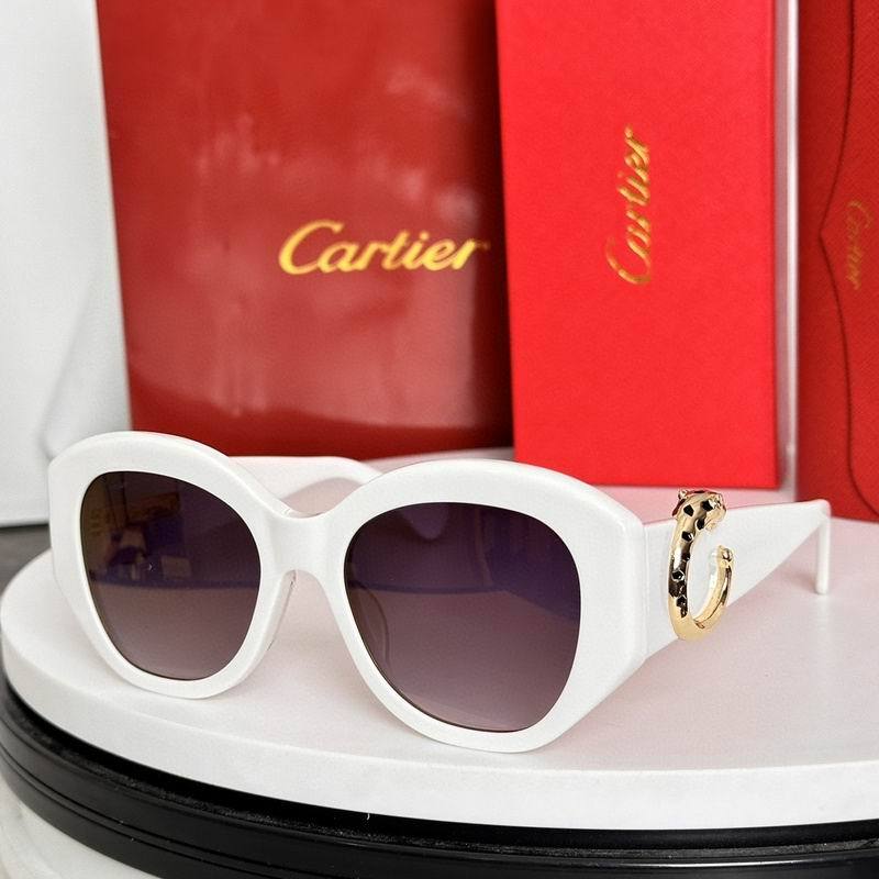 CTR Sunglasses AAA-632