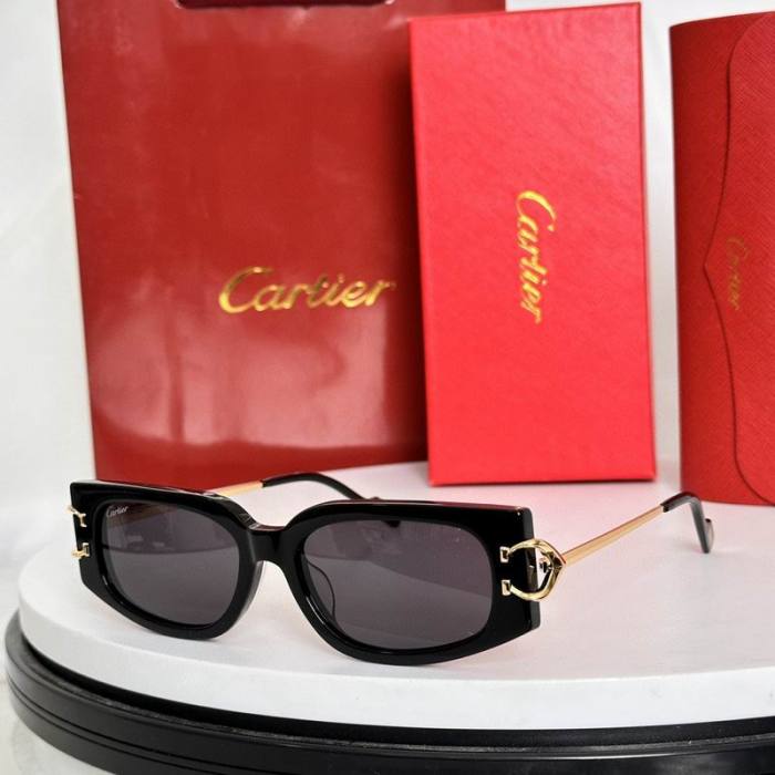 CTR Sunglasses AAA-634