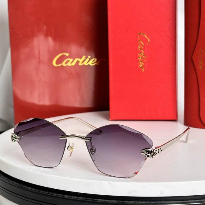CTR Sunglasses AAA-621