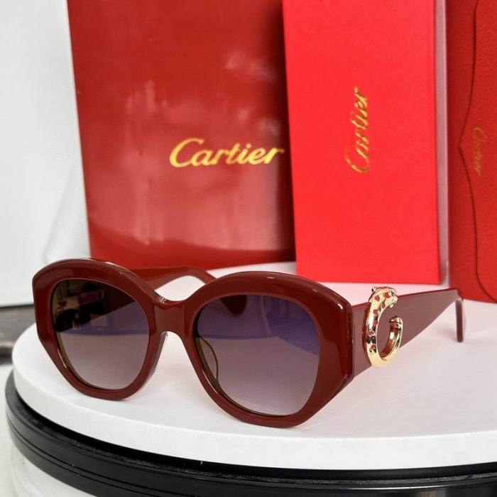 CTR Sunglasses AAA-632