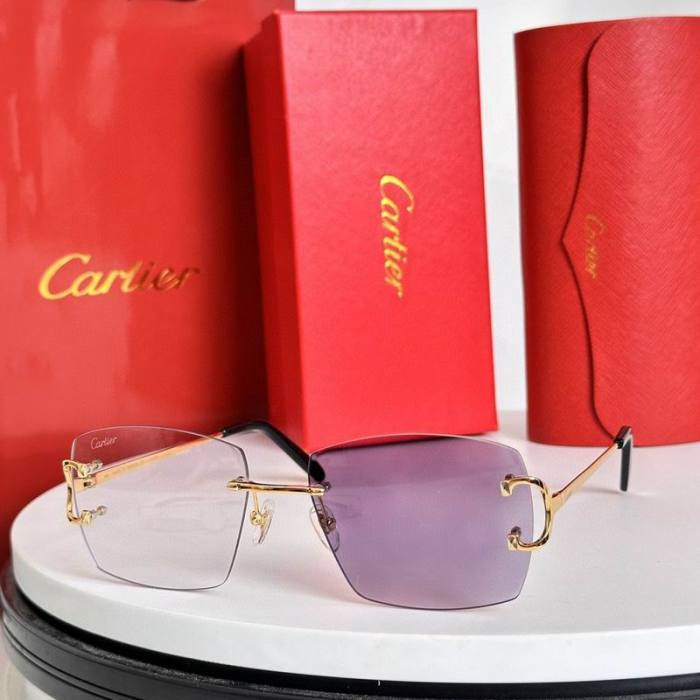 CTR Sunglasses AAA-630