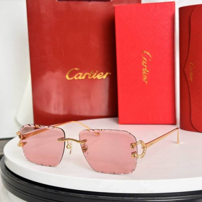 CTR Sunglasses AAA-624