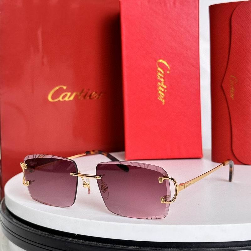 CTR Sunglasses AAA-628
