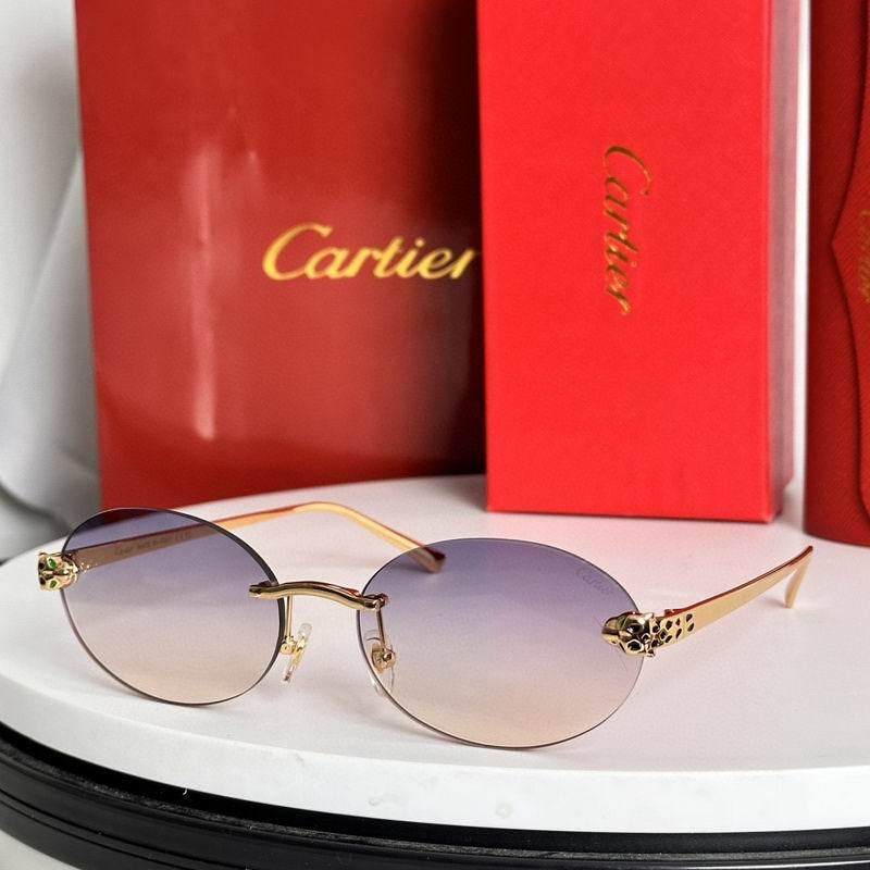 CTR Sunglasses AAA-622