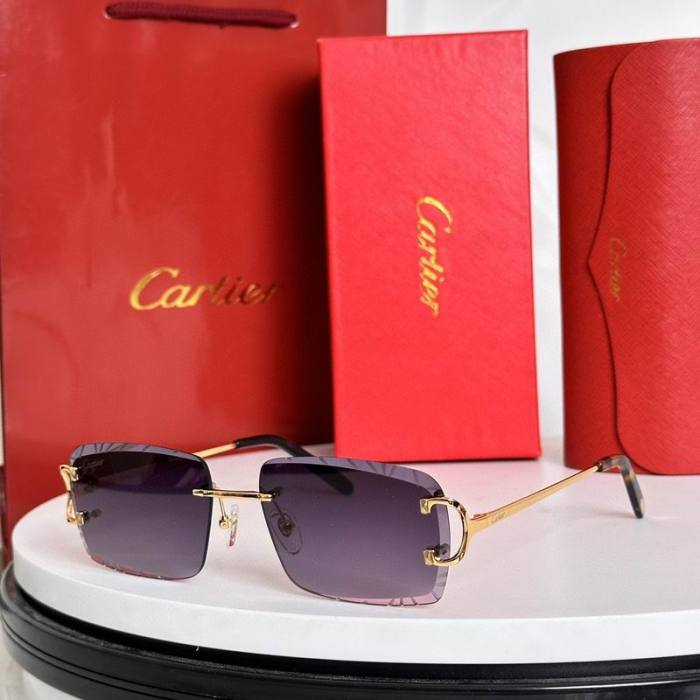 CTR Sunglasses AAA-628