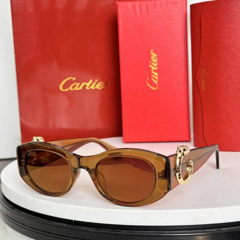 CTR Sunglasses AAA-633