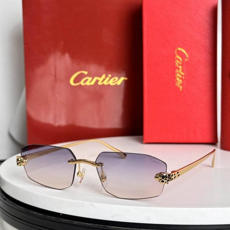CTR Sunglasses AAA-623