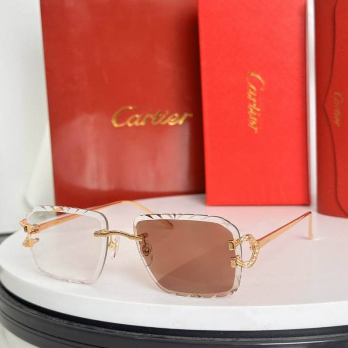CTR Sunglasses AAA-624