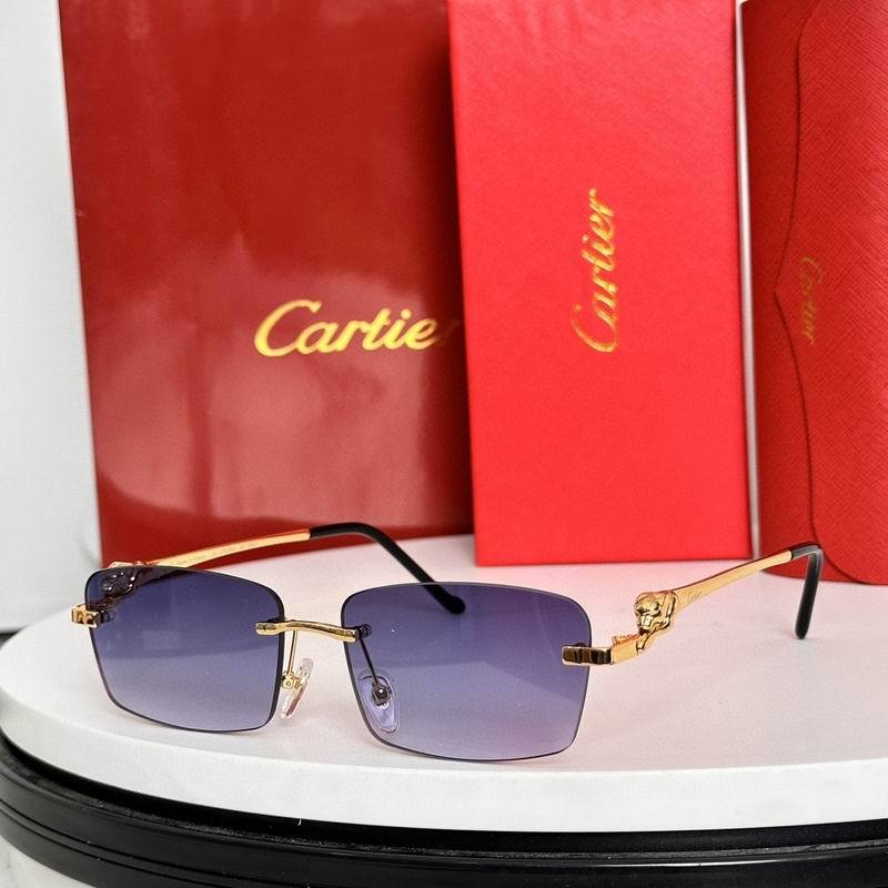 CTR Sunglasses AAA-631