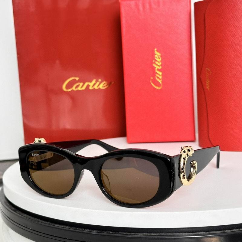 CTR Sunglasses AAA-633