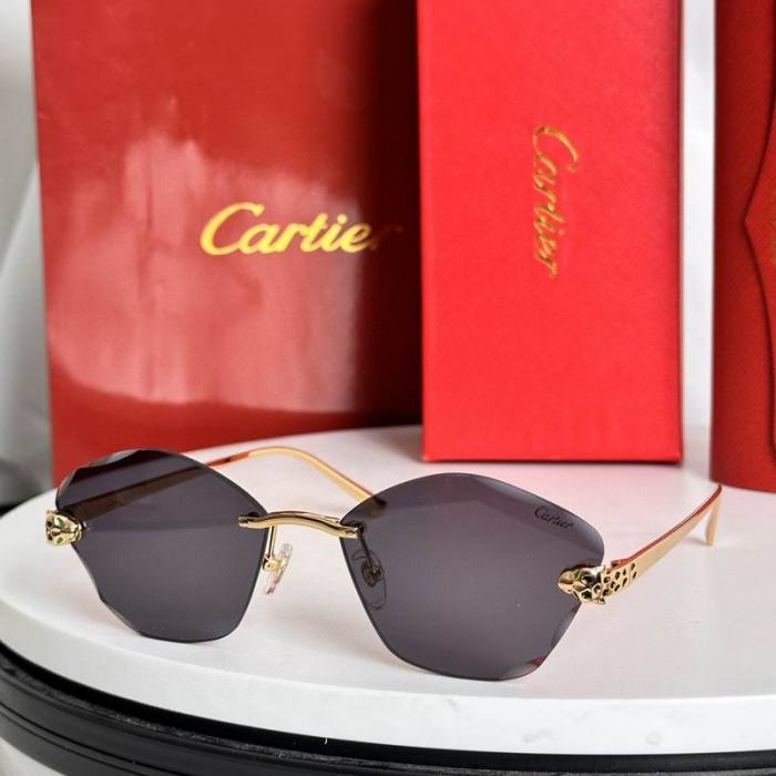 CTR Sunglasses AAA-621