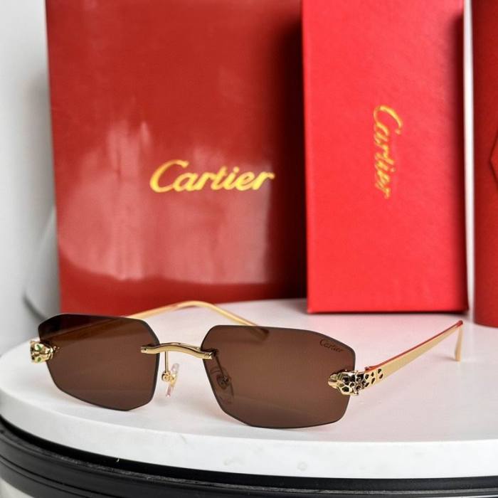 CTR Sunglasses AAA-623