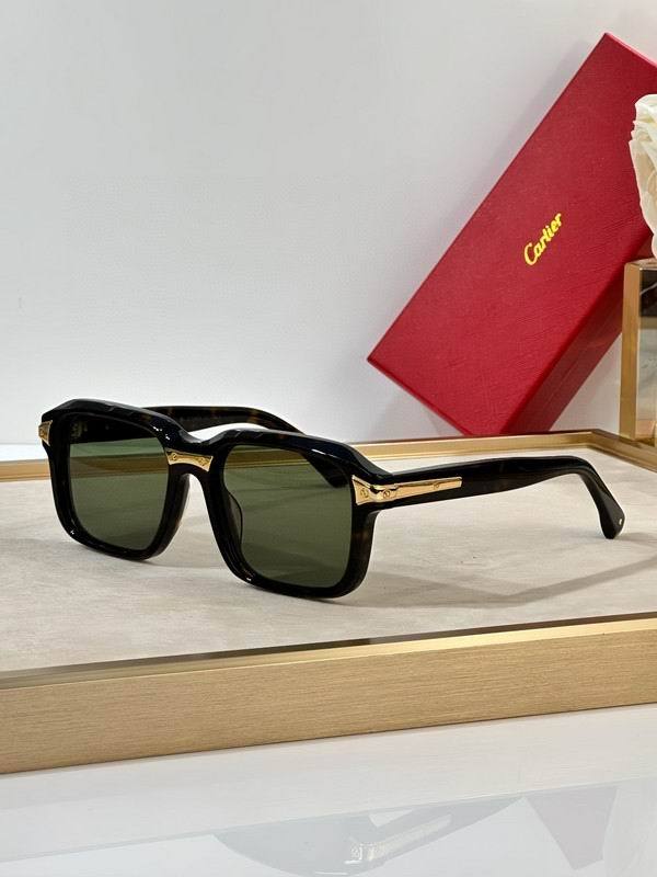 CTR Sunglasses AAA-654