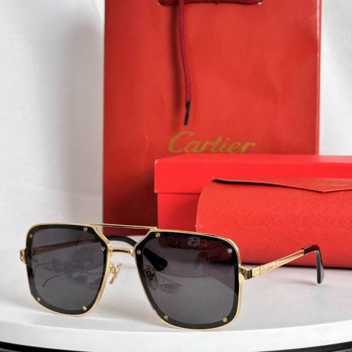 CTR Sunglasses AAA-637