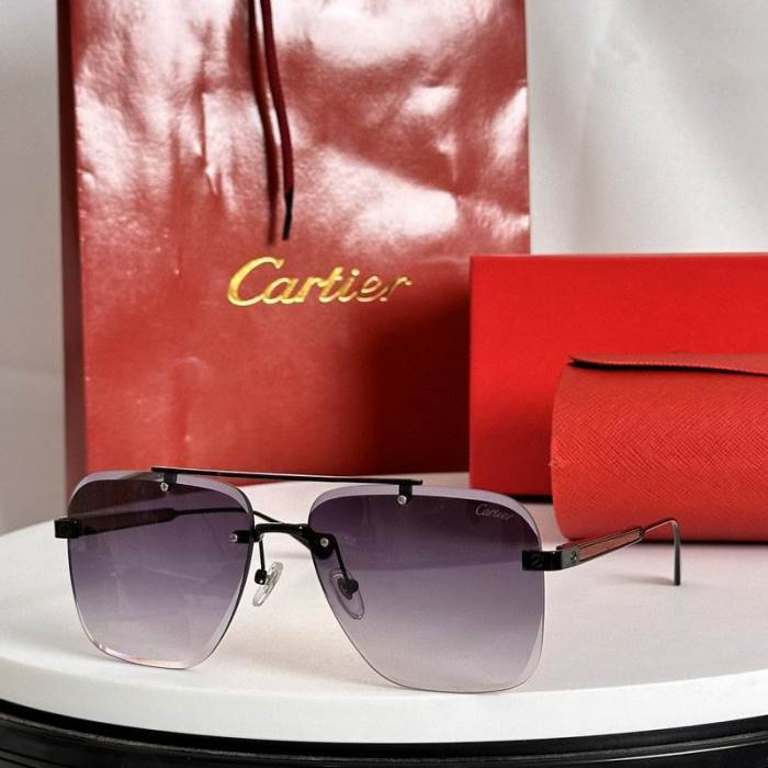 CTR Sunglasses AAA-638