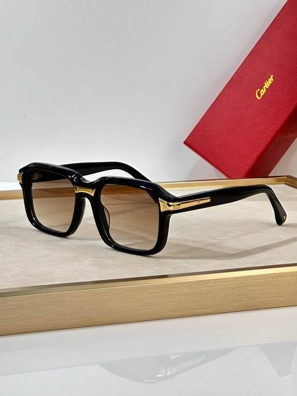 CTR Sunglasses AAA-655