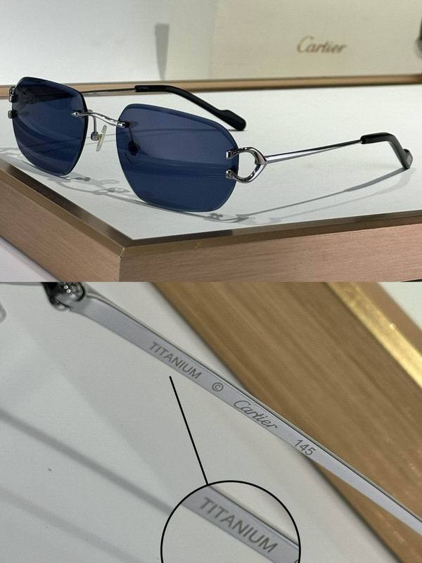 CTR Sunglasses AAA-659