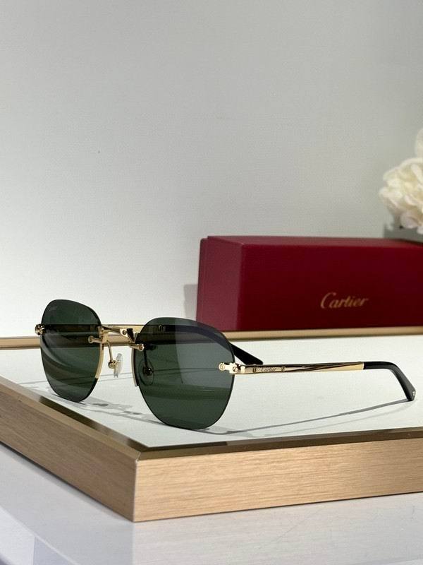 CTR Sunglasses AAA-660
