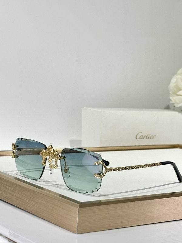 CTR Sunglasses AAA-657