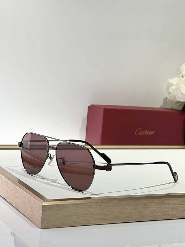 CTR Sunglasses AAA-663