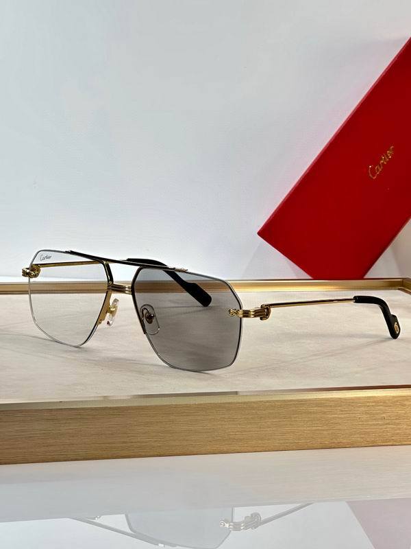 CTR Sunglasses AAA-651
