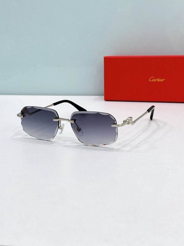 CTR Sunglasses AAA-648