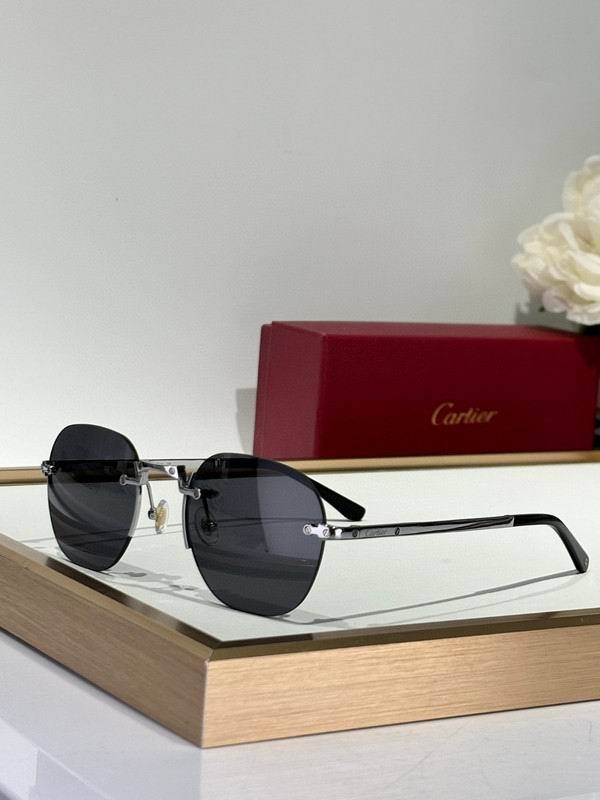 CTR Sunglasses AAA-660