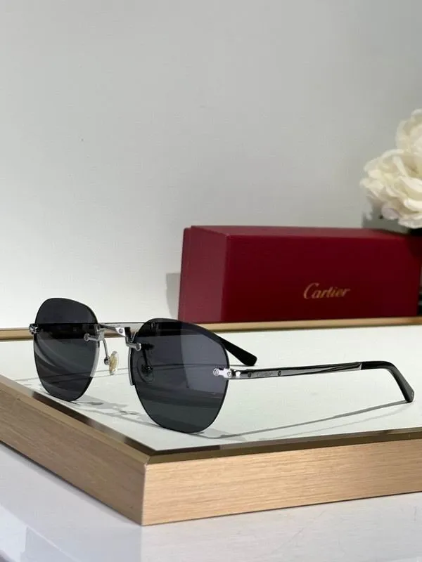 CTR Sunglasses AAA-660