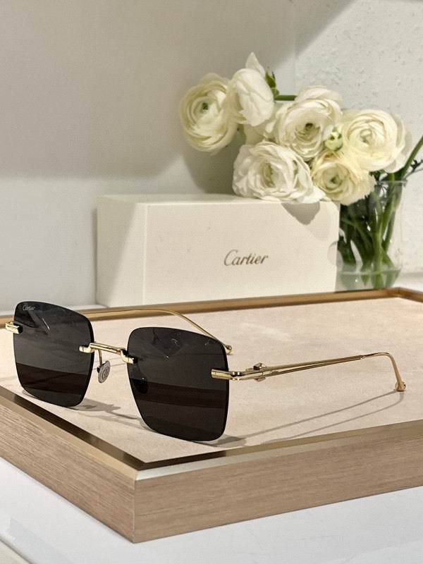 CTR Sunglasses AAA-662