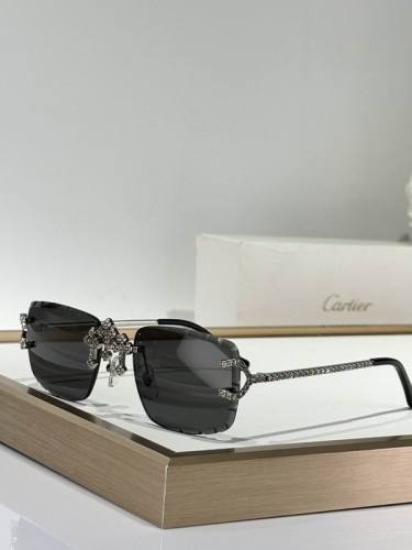 CTR Sunglasses AAA-657