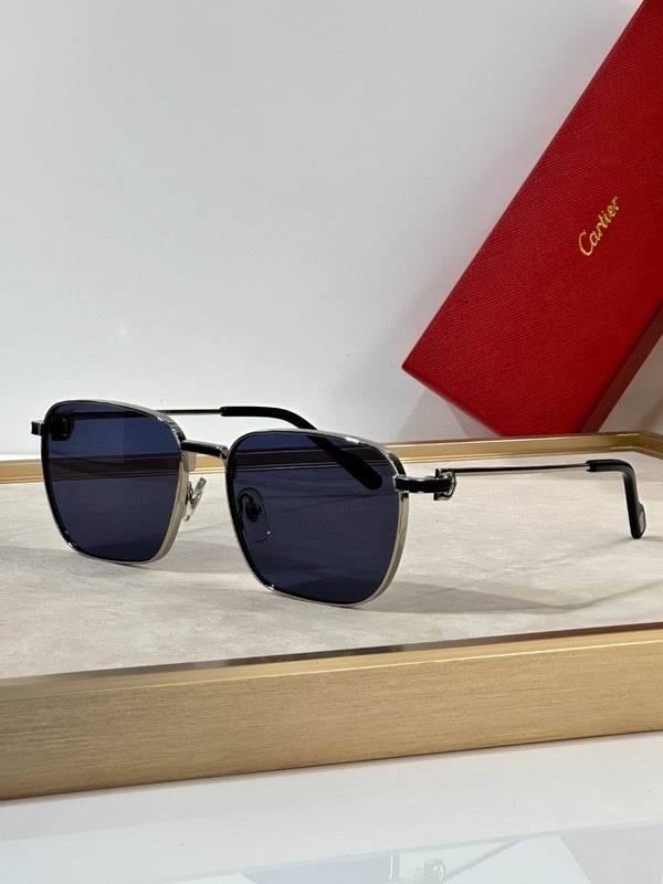 CTR Sunglasses AAA-653