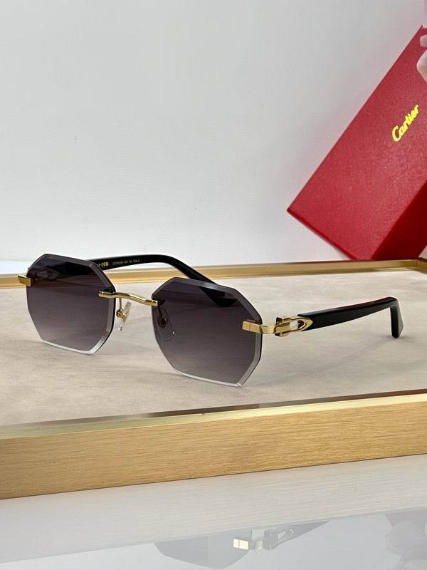 CTR Sunglasses AAA-656