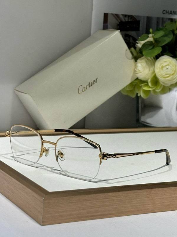 CTR Sunglasses AAA-666