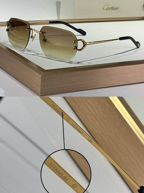 CTR Sunglasses AAA-659