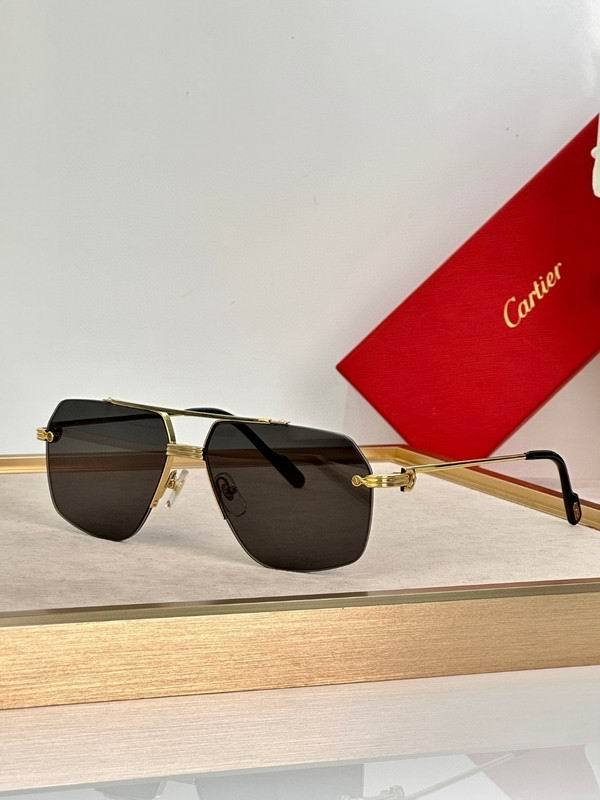 CTR Sunglasses AAA-652