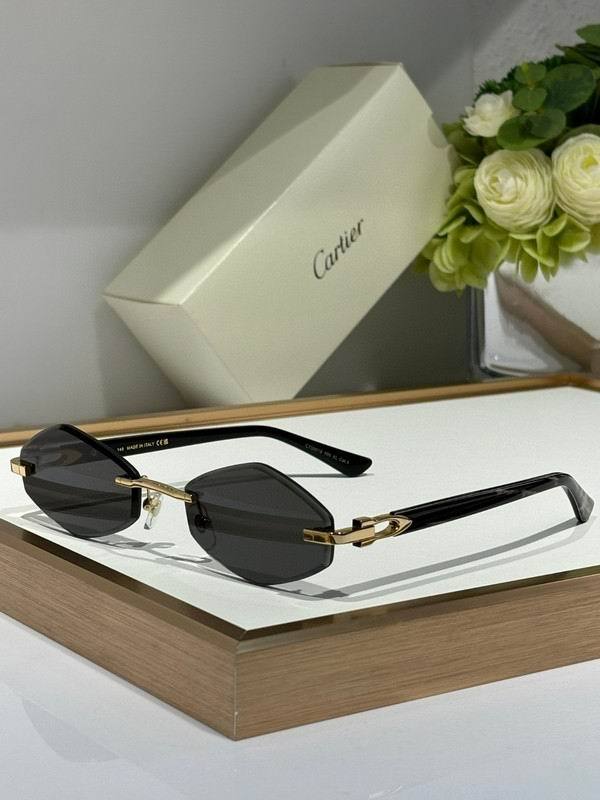 CTR Sunglasses AAA-658