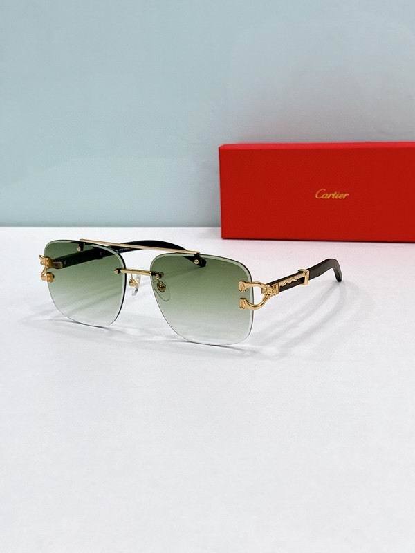 CTR Sunglasses AAA-649