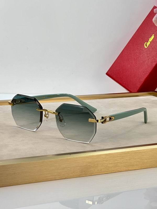CTR Sunglasses AAA-656