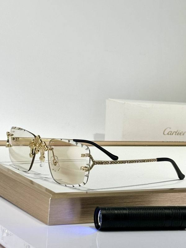 CTR Sunglasses AAA-657